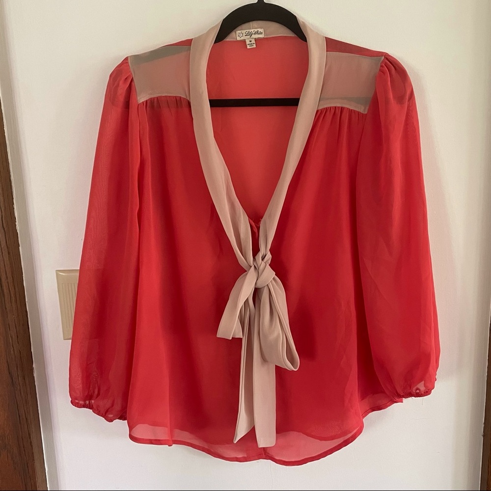 Lily White Sheer Two toned sheer button up top with pussybow size L